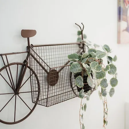 Guesthost - Stella Marina Di Sanremo! Lovely Flat